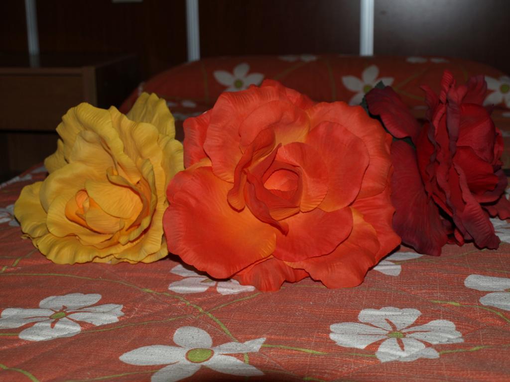 Hostal Anas Mérida Esterno foto